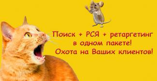 Экспертная настройка Яндекс Директ — поисковая реклама, РСЯ и ретаргетинг для увеличения продаж